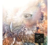 Harry's Gym - What Was Ours Can't Be..