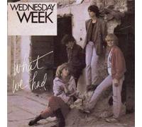 What We Had [Import]