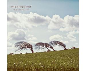 What We Have Sown -Digi-