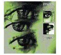 What We See In Their Eyes