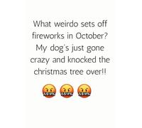 What weirdo sets off fireworks in October? My dog's just gone crazy & knocked the christmas tree over!! - A4 100 pages - Notebook