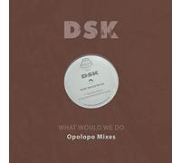 DSK - What Would We Do-Opolopo Mixes