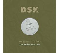 DSK - What Would We Do-The Reflex Revision