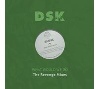 DSK - What Would We Do-The Revenge Mixes