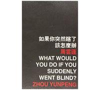 What Would You Do If You Suddenly Went Blind?