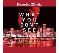What You Don't See (The Chicago Mystery Series)