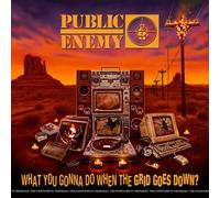What You Gonna Do When the Grid Goes Down? by Public Enemy [CD] NEUF