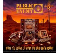 What You Gonna Do When The Grid Goes Down Edition Limitée Vinyle