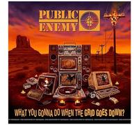What You Gonna Do When The Grid Goes Down? - Vinyle 33t