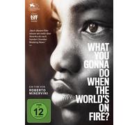 What You Gonna Do When the World's on Fire? – Roberto Minervini – Alive AG