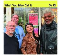 What You May Call It - Da Qi [Compact Discs]