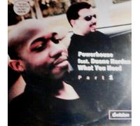 What You Need Part 2 (x4, Feat. Duane Harden) [Import]