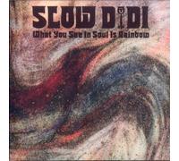 WHAT YOU SEE IN SOUL IS RAINBOW