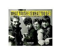 Roland Link Inconnu (Auteur) – What You See Is What You Get : Stiff Little Fingers 1978-1983