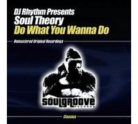 Soul Theory - What You Wanna Do