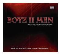 What You Won't Do For Love – Zyx Music