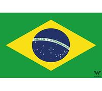 WHATABUS Autocollant Drapeau Brésil 8,5 x 5,5 cm - PVC Extérieur - Vert - Sticker de Drapeau Rectangulaire Réaliste - 50 Pièces