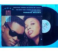 Whatcha Gonna do with My Lovin' (Kevin 'Take a Chance' McCord Remix, INCL. Paradise Megamix) [Import]