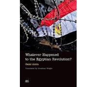 Whatever Happened to the Egyptian Revolution?