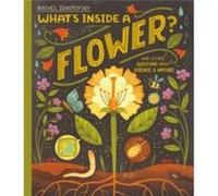 Whats Inside a Flower by Rachel Ignotofsky Rachel Ignotofsky (Auteur)
