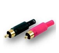 What's New Scooby-Doo? - Whats New Scooby Doo? - Volume 7 - Ready To Scare [Import anglais]