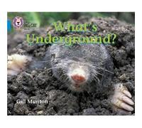 Whats Underground by Gill Munton Gill Munton (Auteur)