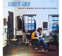 WHAT'S WRONG WITH THIS PICTURE LP UK ASYLUM 1976 11 TRACK WITH INNER (K53052)