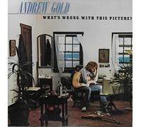 WHATS WRONG WITH THIS PICTURE VINYL LP ANDREW GOLD