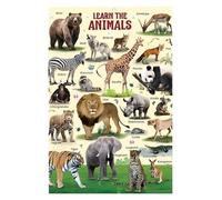 What's Your Favorite Wild Animal? Educational Poster - Interactive Wildlife Chart for Circle Time, Library, or Early Childhood Class(Framed,08x12inch(20x30cm))