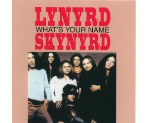 What's Your Name by Lynyrd Skynyrd (2007-06-12)