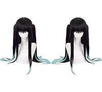 WHBHD Anime Cosplay Perruques Demon Slayer Tokitou Muichirouou Longue Droite Droits Tiger Clip Wig Cosplay Party Perruks + Perruque Cap
