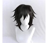 WHBHD Anime Cosplay Wigs Demon Slayer Tomioka Giyuu Copplai Perruque Perruque Perruque Anime Anti- gauchissement Moelleux