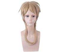 WHBHD Anime JoJo Bizarre Aventure Dio Brando Perruque Courte Perruque Cosplay Rôle Play Link Couleur 45cm