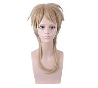 WHBHD Anime JoJo 'S Bizarre Aventure Dio Brando Court Perruque Cosplay Cosplay Rôle Play Link Couleur 45cm