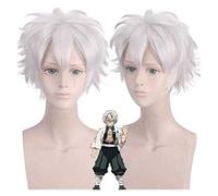 WHBHD Demon Slayer Shinazugawa Sanemi Perruque Anime Perruque Cosplay Comic- Concentrice Halloween Party Carnaval Adult Adulte Hommes et Femmes Anime Fans Cadeau (Perruque Afro Afro)