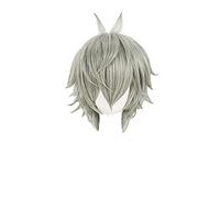 WHBHD Eva Nagisa Kaworu Cosplay Perruques Courtes Courtes Grey Grey Résistant à la Chaleur Perruque de Cheveux Synthétique + Perruque