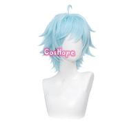 WHBHD Genshin Impact Cosplay Chongyun Unisexe 30cm Glace Blue Perruque Cosplay Anime Cosplay Perruques Résistant à la Chaleur Résistant à la Chaleur Perruques synthétiques Halloween