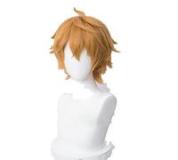 WHBHD Genshin Impact Tartaglia Cosplay 30cm Short Noël Brown Perruque Cosplay Anime Perruques résistantes à la Chaleur Résistant à la Chaleur Wigs Synthétique + Perruque