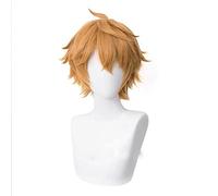 WHBHD Genshin Impact Tartaglia Cosplay 30cm Short Noël Brun Brun Perruque résistant à la Chaleur résistant à la Chaleur Rôle de Cheveux Synthetic Play Costume Perruques