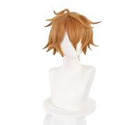 WHBHD Genshin Impact Tartaglia Cosplay 30cm Short Noël Brun Perruque Cosplay Anime Perruques résistantes à la Chaleur Perruques synthétiques Halloween