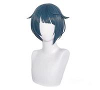 WHBHD Genshin Impact Xingqiu Cosplay 30cm Perruque Bleu Courte Résistant à la Chaleur Synthétique Cheveux Synthétiques Adulte Hommes Femmes Halloween Cosplay Anime Perruques