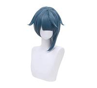 WHBHD Genshin Impact Xingqiu Cosplay 30cm Perruque Courte Grey Blue Perruque Cosplay Anime Cosplay Perruques résistantes à la Chaleur Synthétique Halloween Perruques