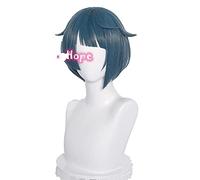 WHBHD Genshin Impact Xingqiu Cosplay 30cm Perruque Courte Grey Blue Perruque Cosplay Anime Cosplay Perruques Résistant à la Chaleur Résistant à la Chaleur Perruques synthétiques Halloween