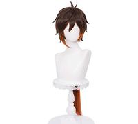 WHBHD Genshin Impact Zhongli Cosplay Perruques de Cosplay Gradient Brown Brown Cosplay Perruque avec Cheveux synthétiques résistants à la Chaleur Poney
