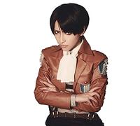 WHBHD Lévi Ackerman Cosplay Attaque sur Titan Cosplay Hommes Short Perruque Noir Cosplay Anime Cosplay Perruques synthétiques résistantes à la Chaleur Résistant à la Chaleur