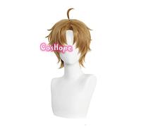 WHBHD Rudeus Greyrat Cosplay Jobless Cosplay Cosplay Cosplay Mushoku Tensei 30cm Brown Wig Perruque synthétique Anime résistant à la Chaleur