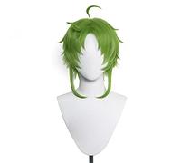 WHBHD Sylphiette Greyrat Perruque sans Emploi Réincarnation Cosplay Cosplay Mushoku Tensei Green Wig Cosplay Anime Perruques Synthétiques résistantes à la Chaleur