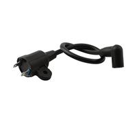 WheatThrive Bobine d'allumage, bobine de générateur, pièce de moteur pour générateur de gaz ET950, ET650, câble de 25 cm, durable, facile à installer