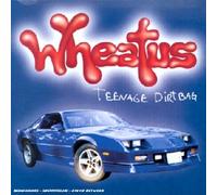 Wheatus - Teenage Dirtbag