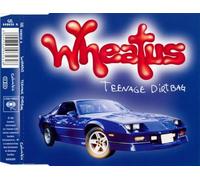 Wheatus - Teenage Dirtbag by Wheatus (2000-09-12)